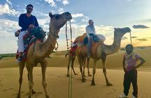 An Overnight Non-touristic Camel Safari (2PM to 11:30 AM Next Day)