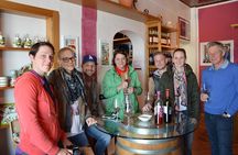 4 WINES TASTING in a Chianti Classico Farm (Visit/tour at the winery included)