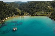 Full day private boat tour around Brač island
