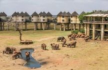 2-Day Safari in Taita Hills from Mombasa
