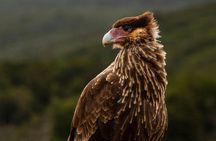 Tierra del Fuego National Park