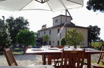 4 Wines & 2 Olive Oils Tasting in Chianti Winery with Tour