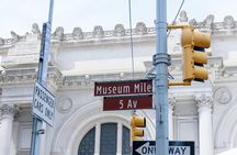 Skip-the-line New York Metropolitan Museum Tour for Kids and Families