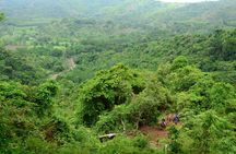 Horseback and Waterfalls Adventure in Jaco with Pick Up
