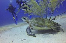 Certified 2-Tank Scuba Diving Tour from Montego Bay