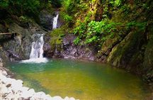 Horseback and Waterfalls Adventure in Jaco with Pick Up