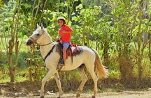 Horseback and Waterfalls Adventure in Jaco with Pick Up