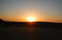 Half Day SunSet Tour with Dinner