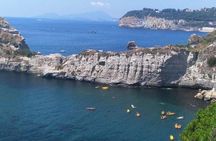 Classic Boat Tour of Naples Bay