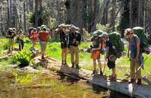 6-Day Backpacking Summer Camp Adventure in Olympic National Park
