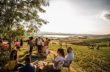 Wine Tasting & Tour Premium