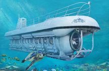 Barbados Harrison's Cave and Atlantis Submarine Dive Tour