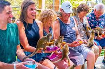 Monkeyland Puerto Plata
