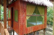 6 days 5 nights Amazon Expeditions Iquitos Peru-Amazon Antares Lodge