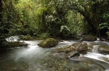 Bellavista Cloud Forest reserve / 3 day tour