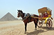 7 Days Cairo And Nile Cruise from Aswan by flight private package
