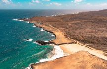 Aruba Jeep Tour: Natural Pool, Caves and Baby Beach Adventure