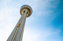Niagara Falls Canada Day + Night Small Group Tour w/Falls Dinner 
