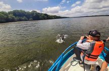 Dolphin Watching Experience in Puerto El Morro from Guayaquil
