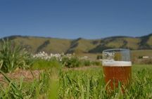 Tasting the Gorge by Ebike