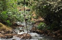 Hike through Secret Waterfalls in Foz do Iguaçu (Part-time - Morning)