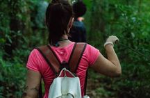 Hike through Secret Waterfalls in Foz do Iguaçu (Part-time - Morning)