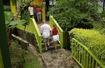 Best Soufiere Round the Island Tour