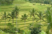 Private Full-Day Tour of West Bali with Hotel Pick Up