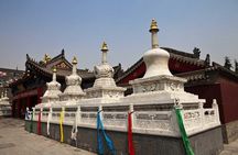 Xian Religious Experience of Temples, Mosque, Church