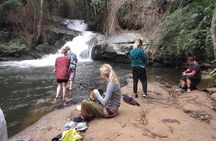 CHIANG MAI: Doi Inthanon-Trekking Pha Dok Seaw-Waterfall-Lunch
