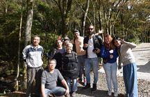Aso Caldera and Farm Experience Tour