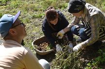 Aso Caldera and Farm Experience Tour