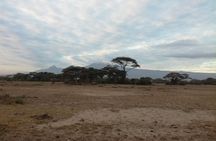 4 Days Amboseli & Tsavo West Wildlife Safari