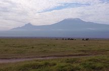 4 Days Amboseli & Tsavo West Wildlife Safari