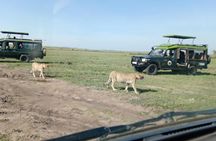 13 Days Photographers safari