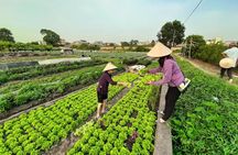 Farm tour & Home cooking class with local family in Hanoi