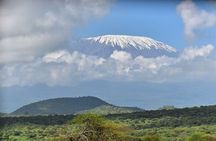 9 Days Samburu- Nakuru- Mara-Naivasha- Amboseli Wild Safari 