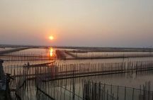 Hue: Half-Day Yellow Tam Giang Lagoon Sunset Tour