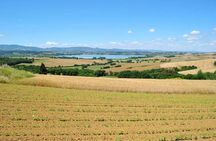 Wine Tasting & Tour Premium