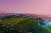 Wine Tasting & Tour Premium