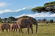 13 Days Photographers safari