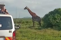 13 Days Photographers safari