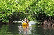 Kayaking Mangrove Adventure at Havelock