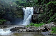  Bali Private Car Charter With English Speaking Driver 