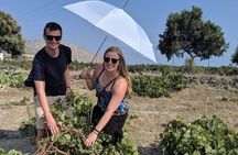 Private Santorini Morning Wine Tour: 3 Wineries with 12 Tastings