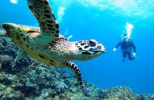 Snorkeling tour and whales watching - Machalilla National Park