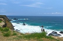 Snorkeling tour and whales watching - Machalilla National Park