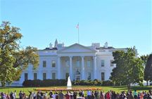  See DC In A Day: Guided Small Group Ultimate Day Tour 