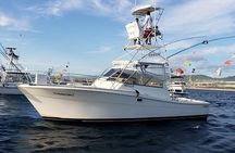 Private Half-Day Fishing boat!