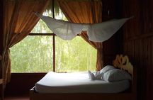 6 days 5 nights Amazon Expeditions Iquitos Peru-Amazon Antares Lodge
